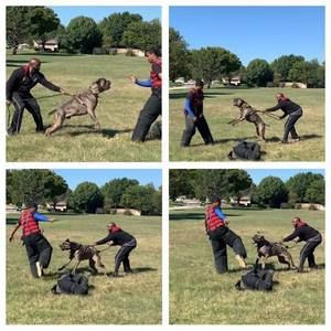 Meet your Posher, Devon